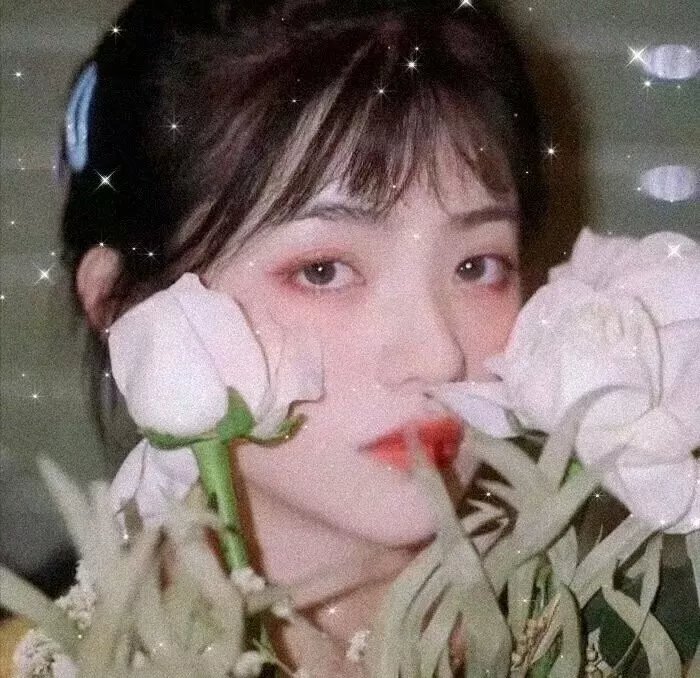 家有虎妻